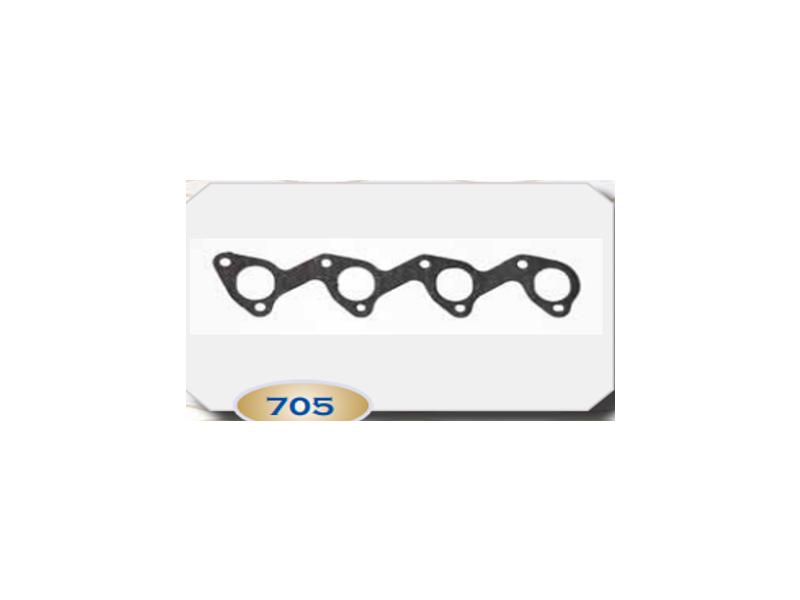 ARI 705 — EGSOZ MANİFOLD CONTASI : SACLI KLİNGRİK