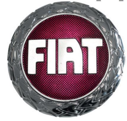 AYHAN A5635 — PANJUR CELENK ARMA BANTLI BORDO RENK CAP 75 MM ( FIAT DOBLO ALBEA PALIO 06-09 )