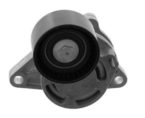 BİTAPART BRE181005 — ALTERNATÖR GERGİ RULMANI (KÜTÜKLÜ) RENAULT CLIO II 01-06 MEGANE II 02-08 KANGOO