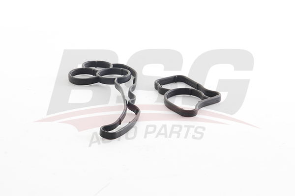BSG 15116003 — YAĞ FİLTRE HAZNE CONTASI
