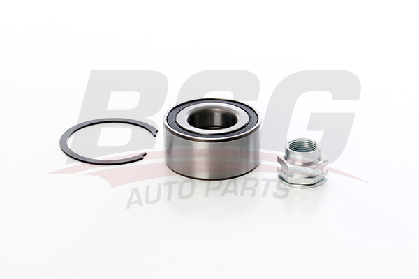 BSG 25605002 — PORYA RULMANI ÖN ABS SIZ TEMPRA TIPO ALBEA DOBLO LINEA FIORINO MAREA 91-
