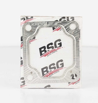 BSG 30116025 — EGZOZ BOGAZ CONTASI [KARE] TRANSIT V-184 V-347 2.4 D 01-