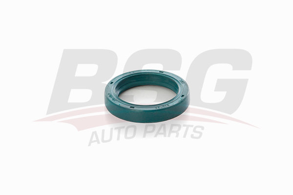 BSG 30116129 — DİREKSİYON KEÇESİ TRANSIT M-15 V-184 93-