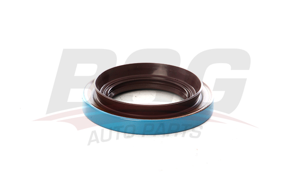 BSG 30116143 — MAHRUTI KEÇESİ TRANSIT V-184 V-347 JUMBO 01-