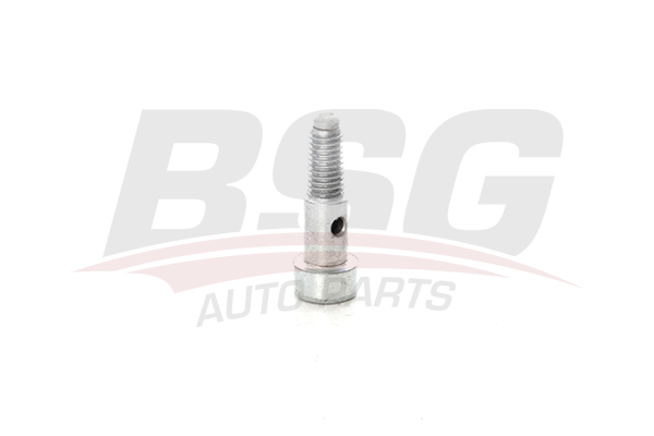 BSG 30122058 — TURBO YAĞ HORTUM VIDASI FOCUS 1.6 D 04- TURBO YAĞ HORTUM VIDASI