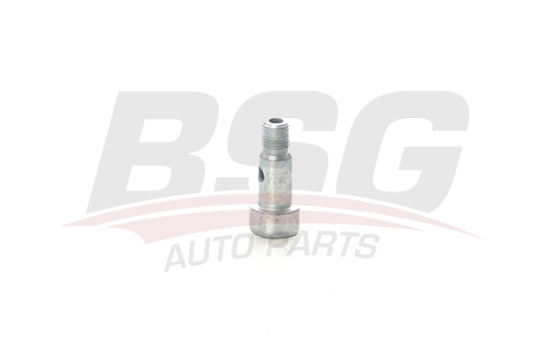 BSG 30122059 — TURBO YAĞ HORTUM VIDASI FOCUS 1.6 D 04-