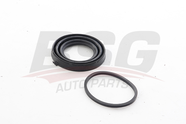 BSG 30251024 — KALIPER TAMİR TAKIMI ARKA [TEK KALIPER KEÇE] TRANSIT V-362 V-363 12-