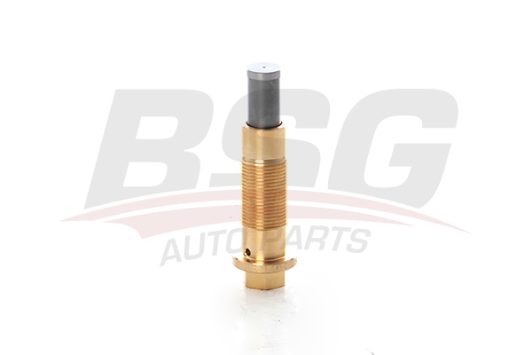 BSG 60109004 — ZINCIR GERGISI W203-204-209-211-171 M271 02-