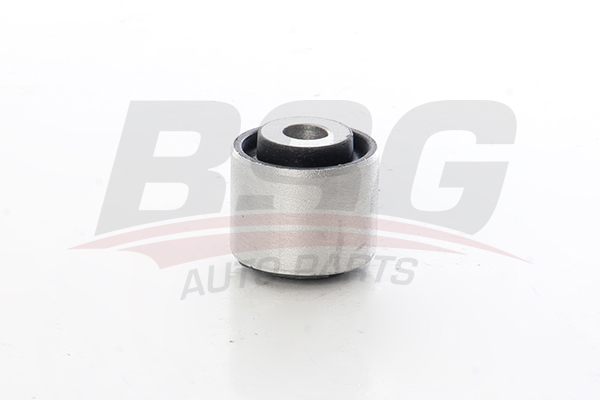 BSG 60315091 — SALINCAK BURCU ARKA W221-216 07-14