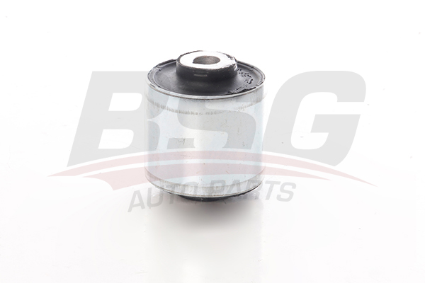 BSG 60700234 — SALINCAK BURCU W204-207-172 07-
