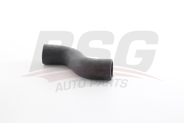 BSG 60720013 — TURBO HORTUMU W638 M611 99-03