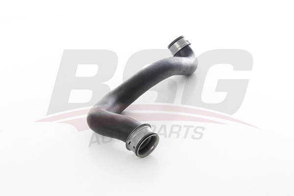BSG 60720335 — RADYATOR HORTUMU UST W171 M272 05-11