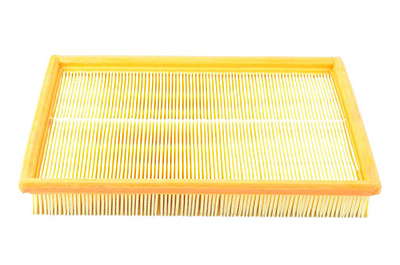 BSG 65135001 — HAVA FİLTRESİ VECTRA A CALIBRA C20LET X20XE C25XE 89-95