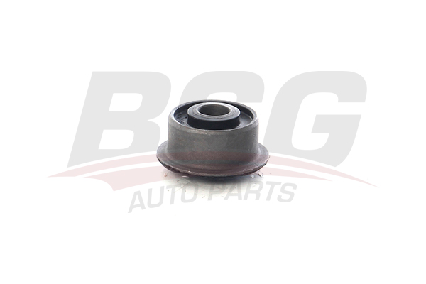 BSG 65700056 — SALINCAK BURCU KADETT E 84-91