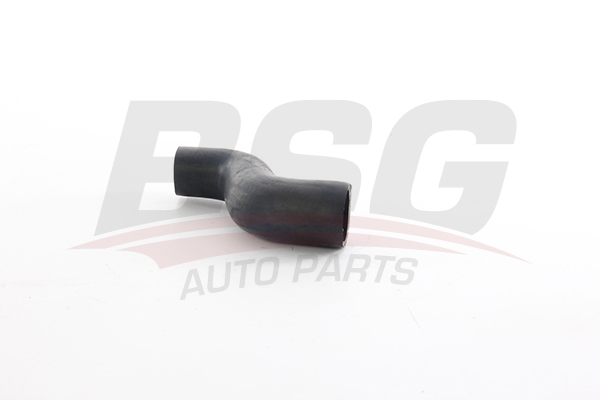 BSG 65720007 — DEVİRDAİM HORTUMU ASTRA F VECTRA A CORSA B C14NZ X16EEL 89-