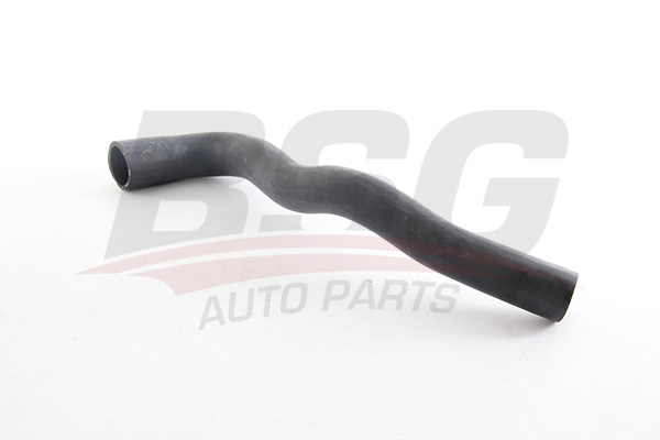 BSG 65720099 — TURBO HORTUMU VECTRA B Y20DT 96-02