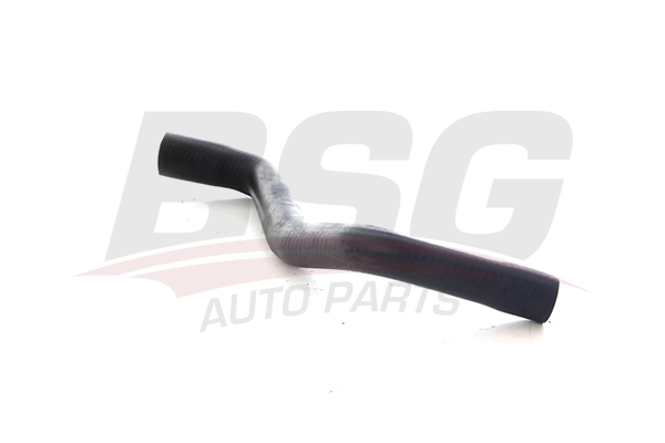 BSG 75720121 — RADYATÖR HORTUMU ÜST CLIO III MODUS 1.2 16V 04-