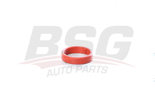 BSG 90116016 — YAĞ SOĞUTUCU CONTASI CADDY-CRAFTER-AMAROK-TIGUAN CNEA-CSHA-CDBA-CNFA-CNFB-CAYD-CFFB-CKTB-CKUB 2,0 TDI 10-