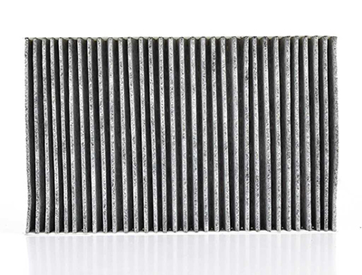 BSG 90145014 — POLEN FILTRESI A6-A100 91-00 (KARBONLU)