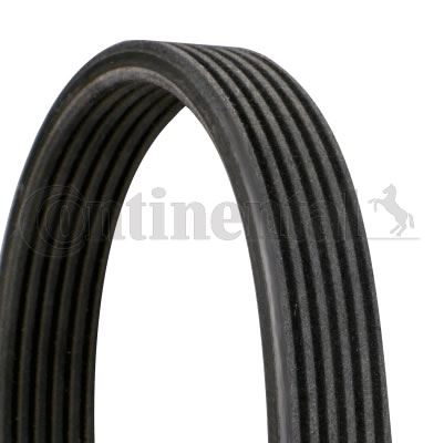 CONTITECH 6DPK1320 — KANALLI KAYIŞ AUDI FORD SEAT VW BORA GOLF TRANSPORTER 2.3 2.8 3.2 20V 24V