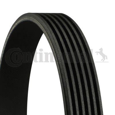CONTITECH 6PK1653 — KANALLI V KAYIŞI (FORD ESCORT VI-VII 1.6 1.8/ REN LAGUNA I 1.8 16V/ VW GOLF 1.8 88-91)