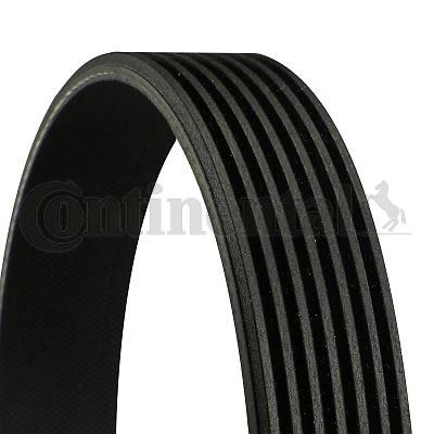 CONTITECH 7PK1705 — KANALLI V KAYIŞI MEGANE II 02> SCENIC 02> LAGUNA III 07-15 KOLEOS I 08-15 NISSAN X-TRAIL II 07-15