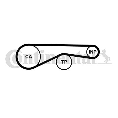 CONTITECH CT1194 — TRİGER KAYIŞI AUDI