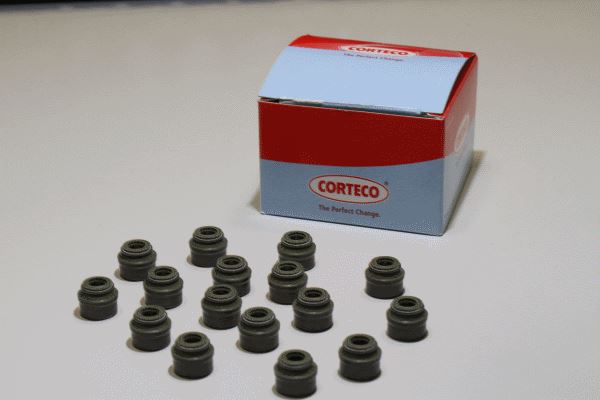 CORTECO 19036089 — CONTA SETİ, SUPAP SAFTI