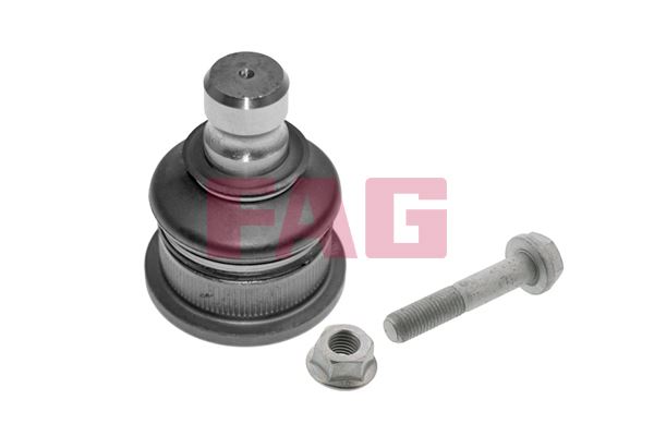 FAG 825016810 — ROTİL ALT RENAULT MEGAN II/CLIO III (HB)/LOGAN BM 03-