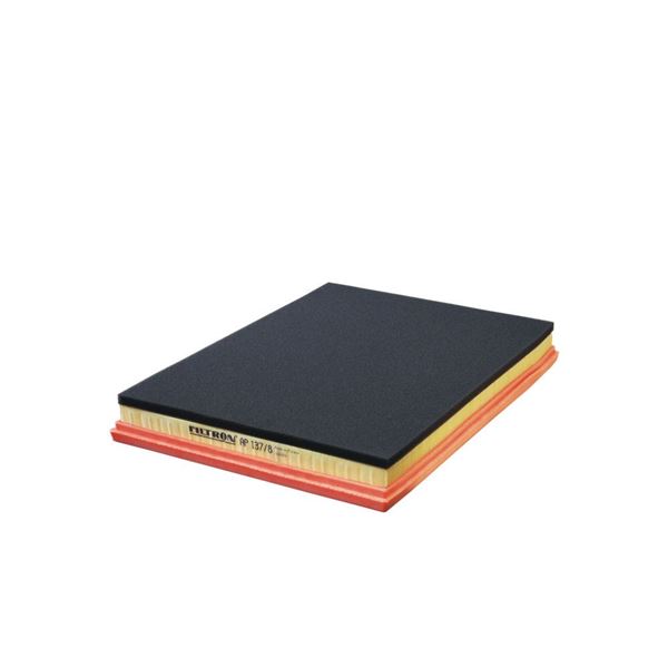 FILTRON AP1378 — HAVA FİLTRESİ 392×282x46 RENAULT RVI MASCOTT DXI 120-130-150-160 3039400-LX2080 AGIR VASITA