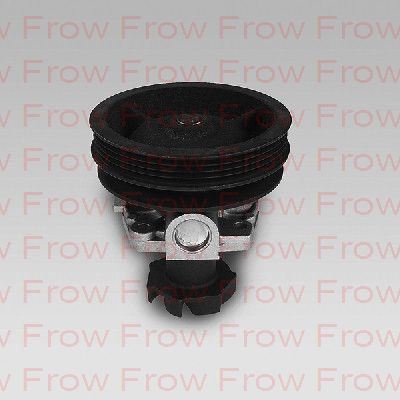 FROW 1561502001 — SU POMPASI KLİMALI TEMPRA TIPO 16