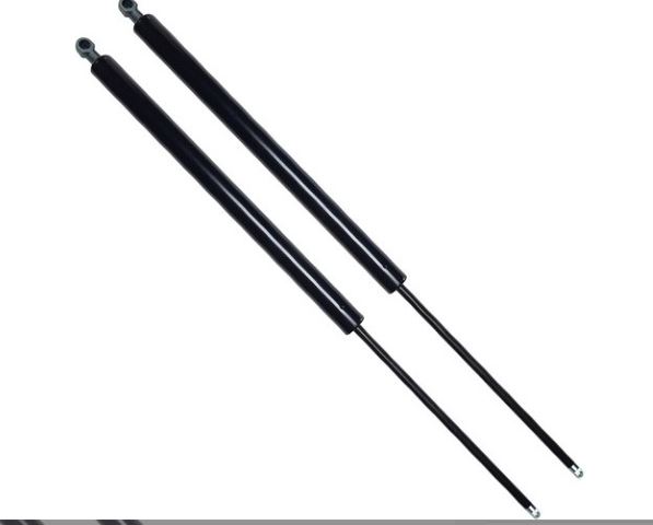 FROW 2081647006 — BAGAJ AMORTISORU RENAULT MEGANE I CABRIOLET 99-03