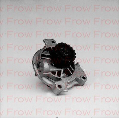 FROW 4251502001 — SU POMPASI CRAFTER LT35 25 T4 24 AVR ANJ 96 - 18 DI?