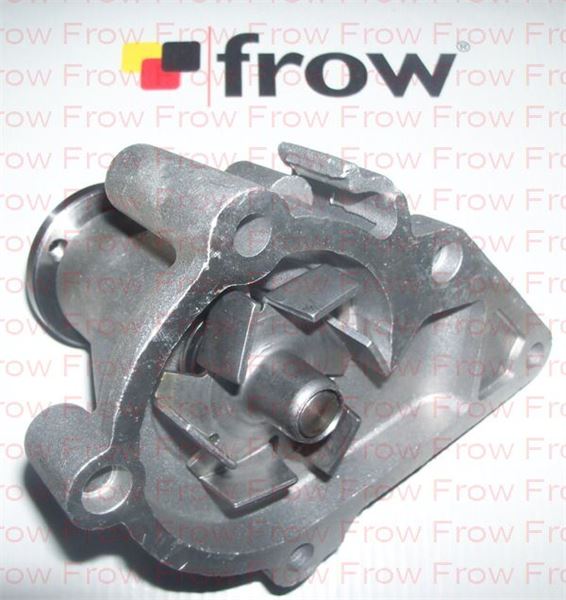 FROW 5541502001 — SU POMPASI ACCENT 13 15 94 -