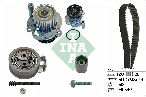 INA 530009131 — TRİGER EKSANTRİK GERGİ SETİ DEVIRDAIMLI 120×300 T5 CADDY III JETTA III GOLF V POLO PASSAT 19 TDI 20