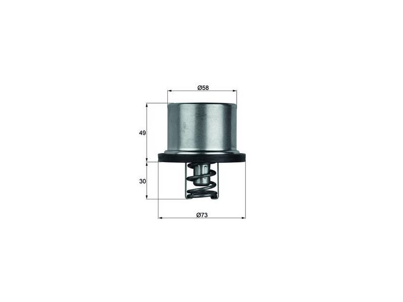 MAHLE THD179 — TERMOSTAT CONTALI 79°C (BMW 3-5-6)