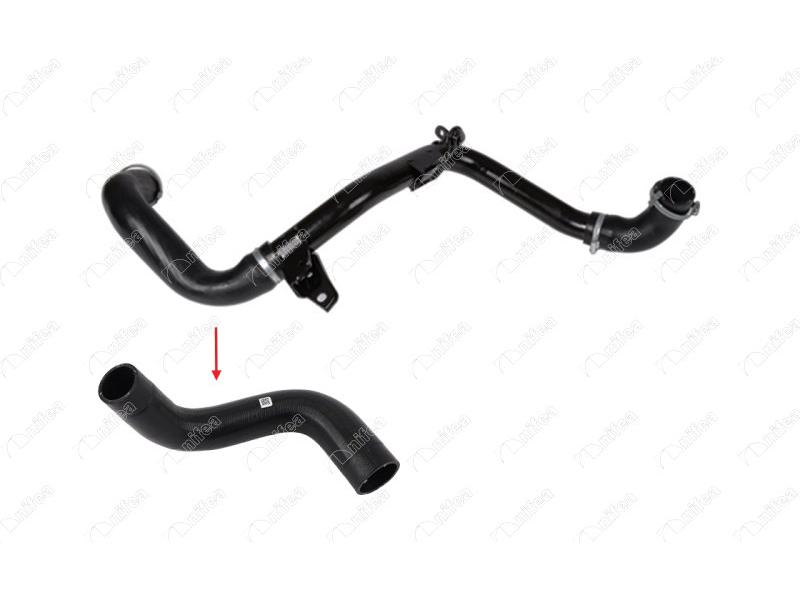NIFEA 19948 — TURBO INTERCOLL HORTUMU FORD FOCUS 04> METAL BORU HARIC BUYUK HORTUM