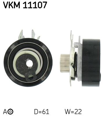 SKF VKM11107 — EKSANTRİK GERGİSİ