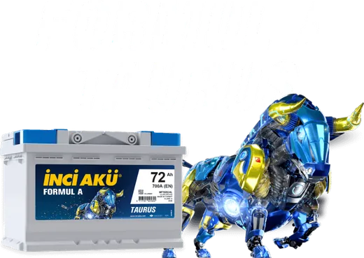 İnci Akü 1011161