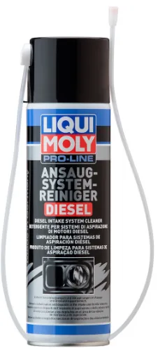 LIQUI MOLY EGR VALFI HAVA EMME MANIFOLD TEMIZLEYICI
