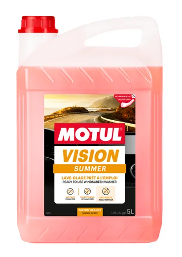 MOTUL VISION SUMMER INSECT REMOVER